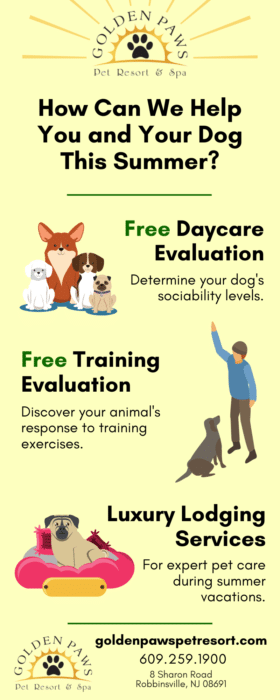 Infographic on free doggie daycare amd training evaluation