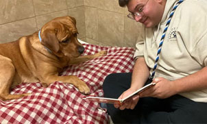 Staff reading a bedtime story to a dog