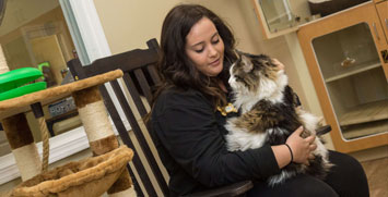 Staff petting a cat on her lap