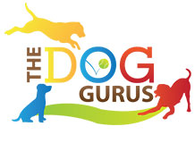 The Dog Gurus